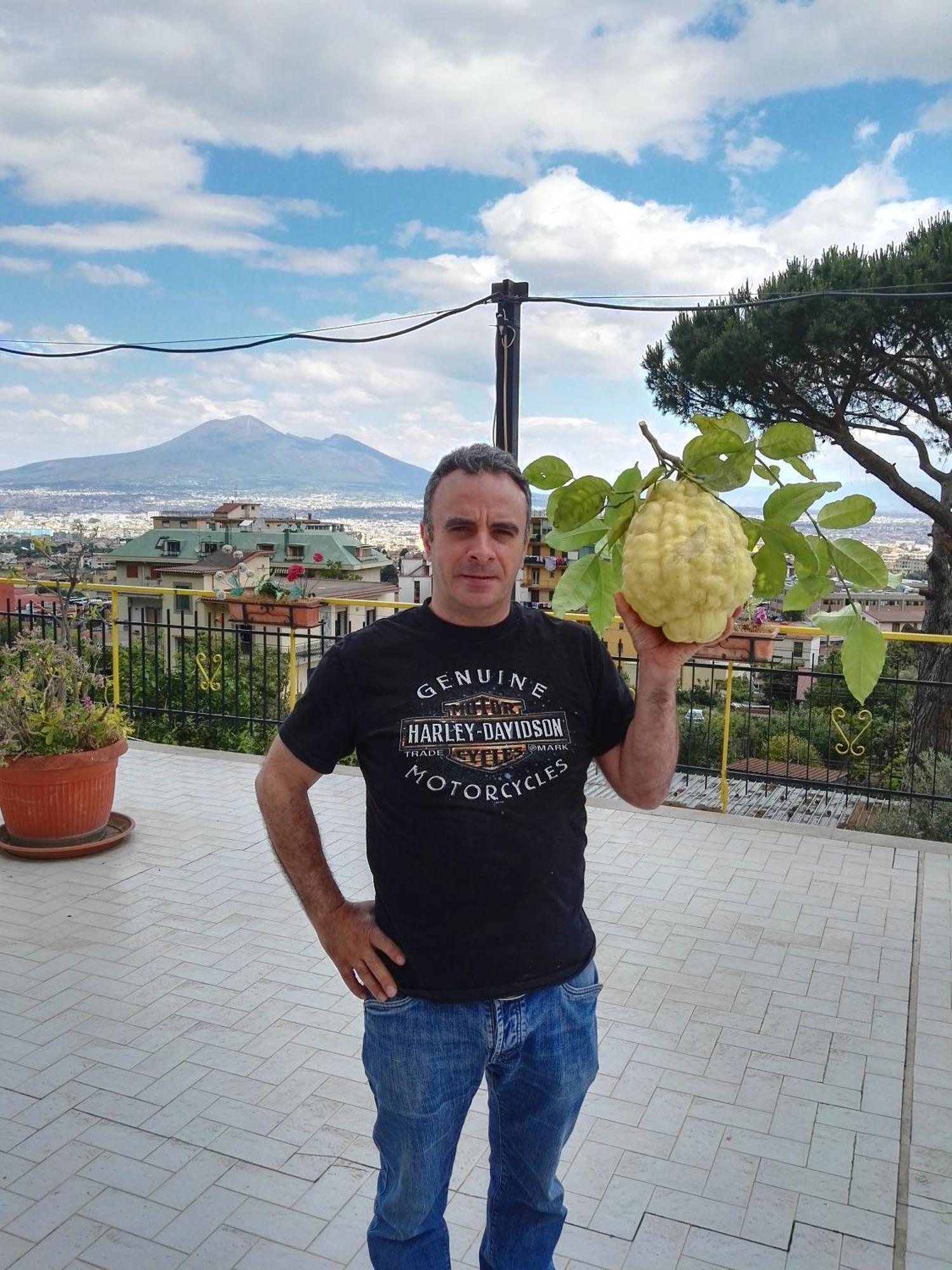 B&B Il Limoneto Gragnano Buitenkant foto