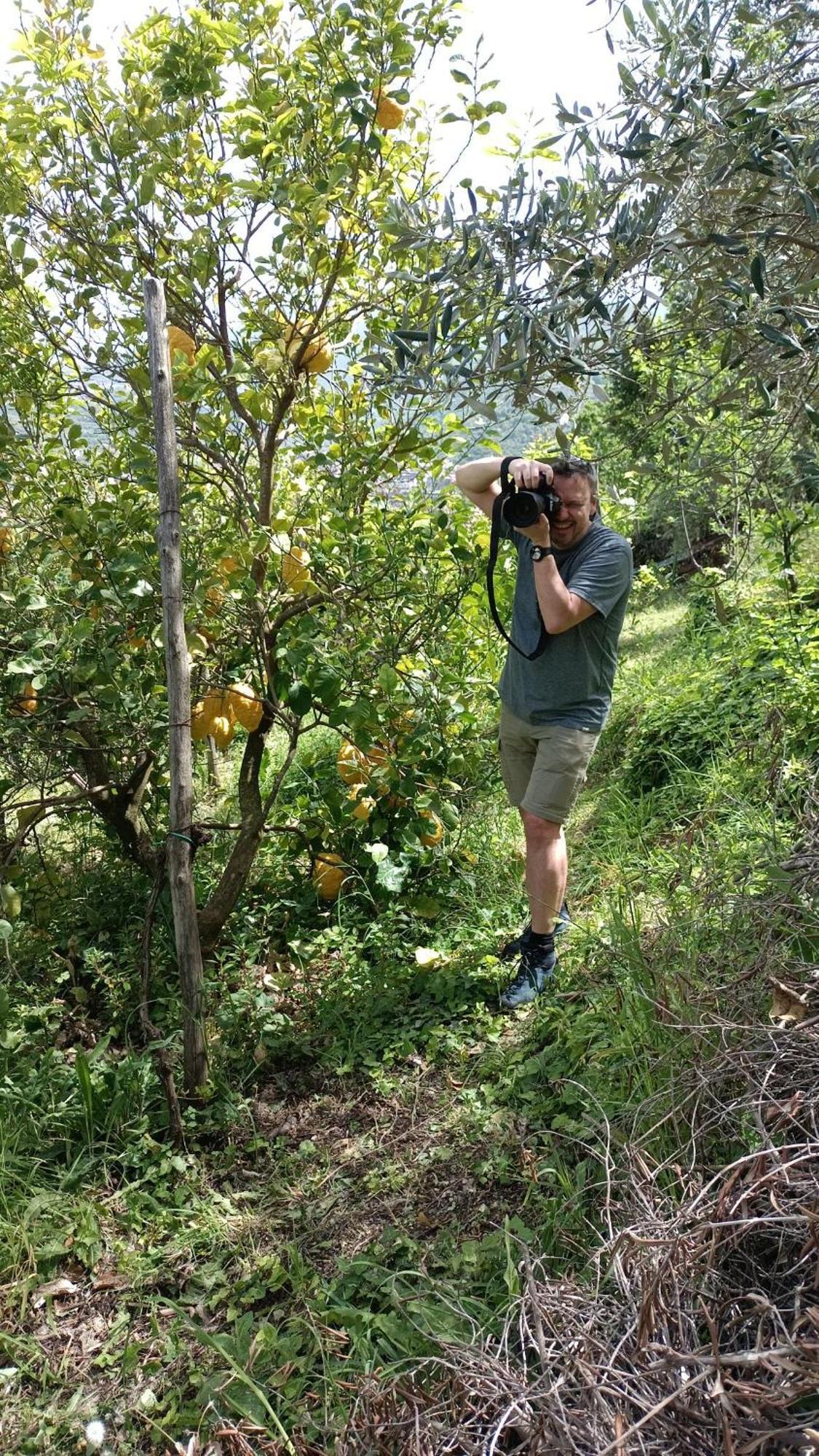 B&B Il Limoneto Gragnano Buitenkant foto